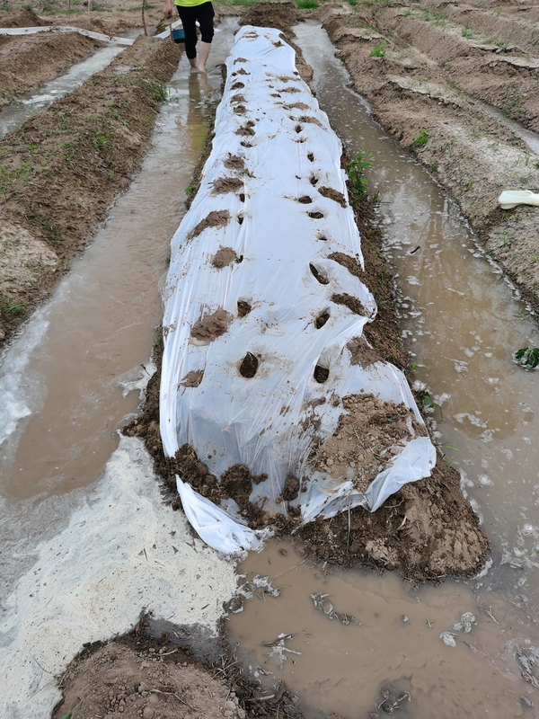 全生物降解地膜