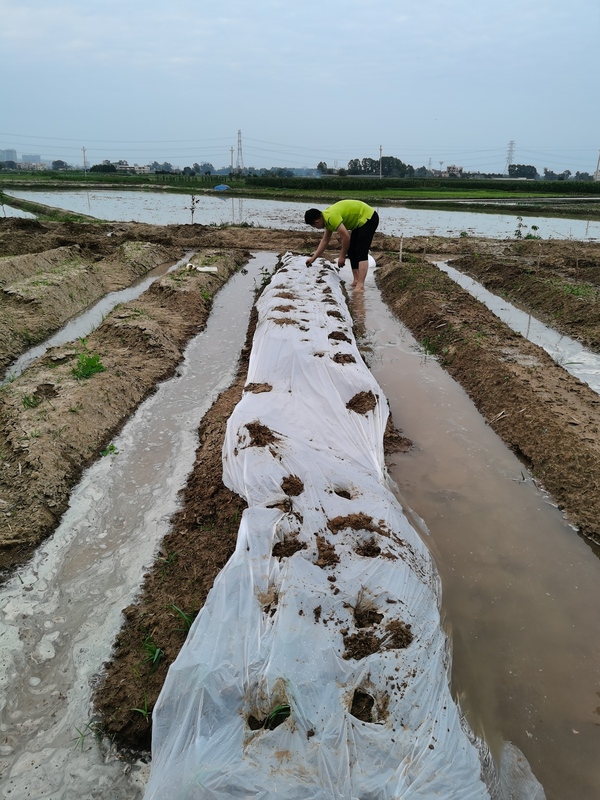 全生物降解地膜